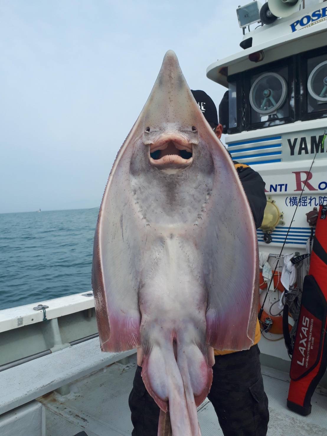 船上の釣果